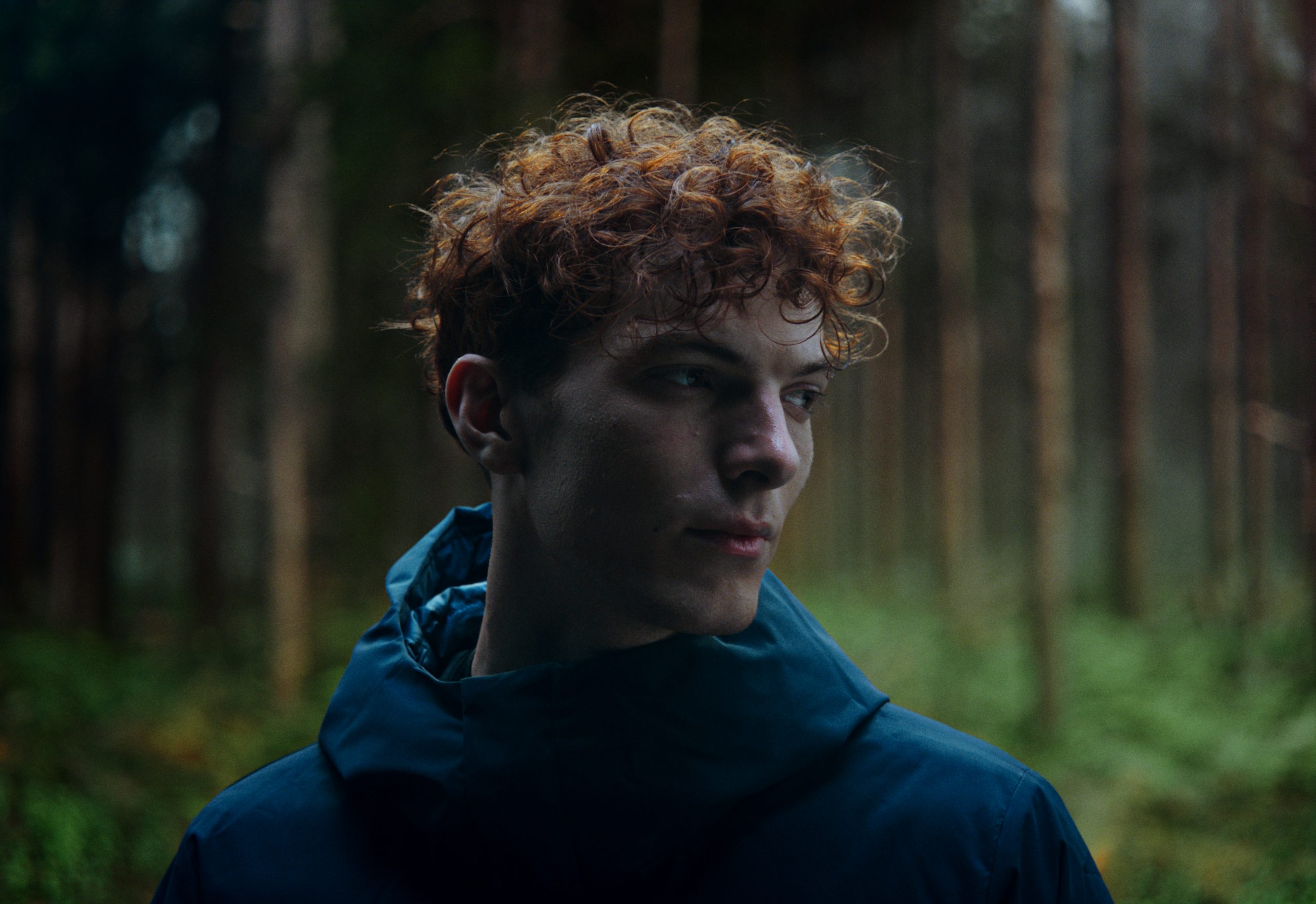 Oxdog – A new way to win